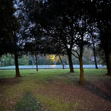 Spacieux Dans Parc Arbore *